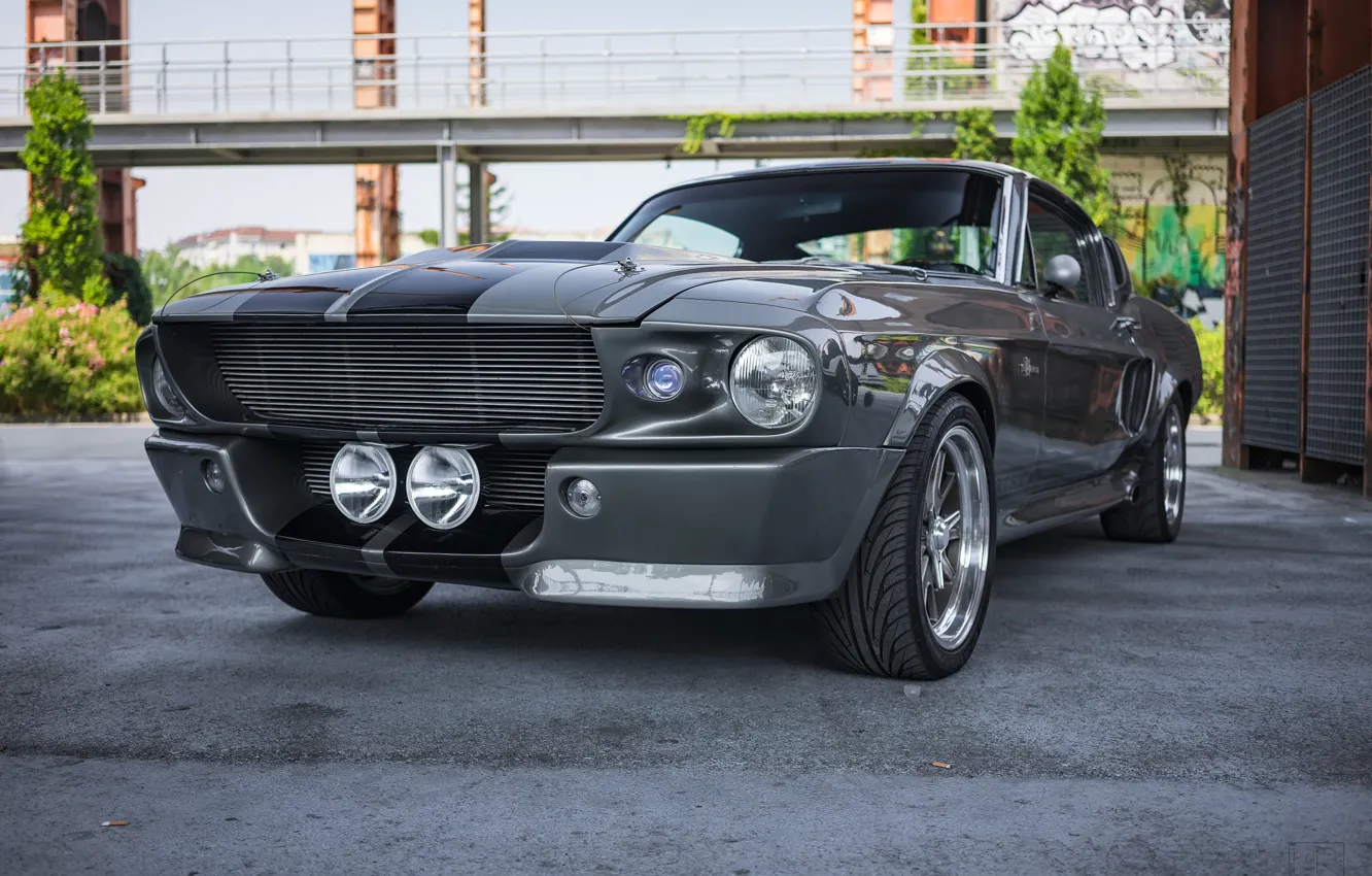 Фото обои Mustang, Ford, Shelby, 1967, Fastback, Elenor