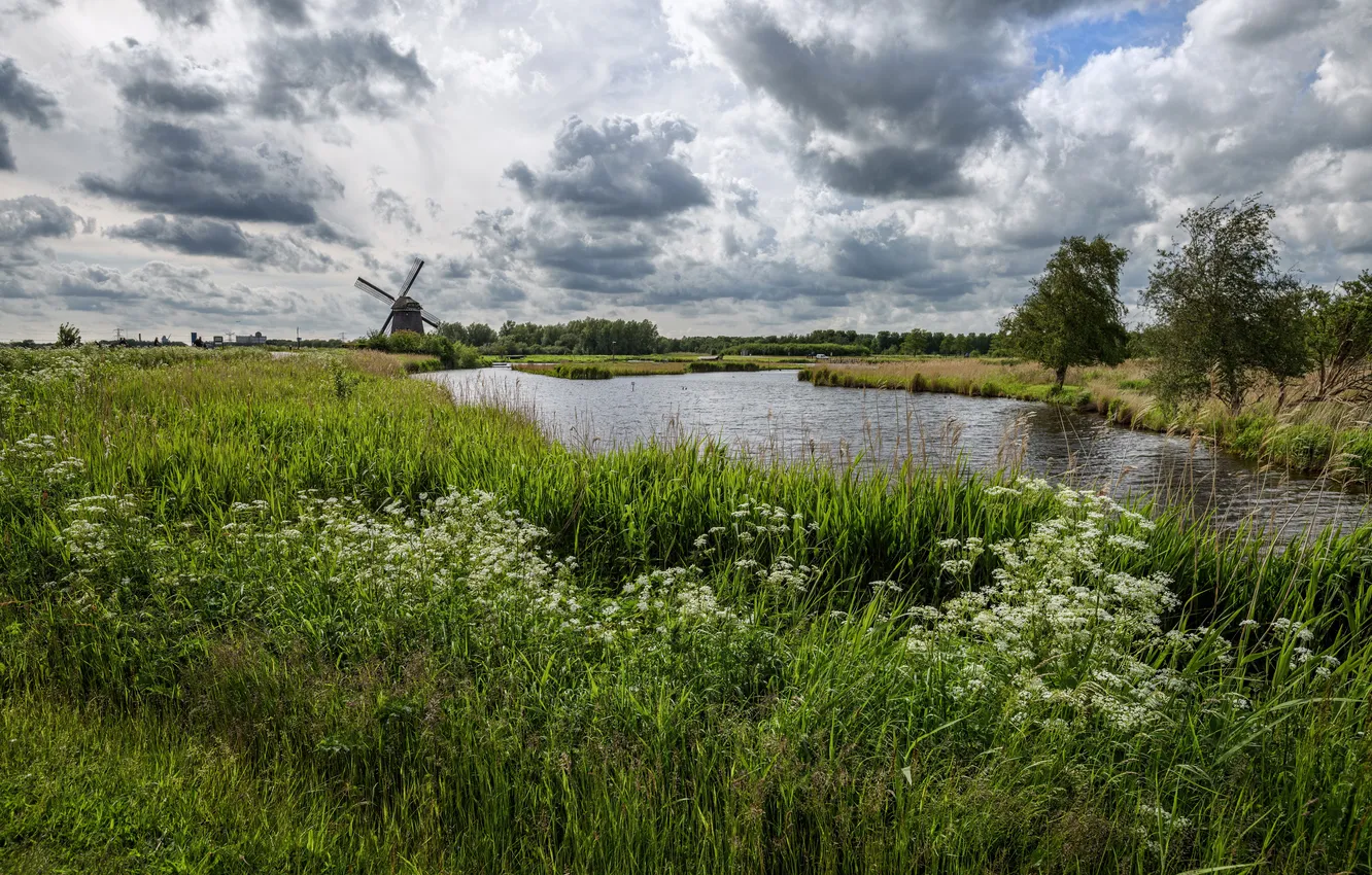 Фото обои поле, трава, облака, деревья, цветы, мельница, речка, Нидерланды