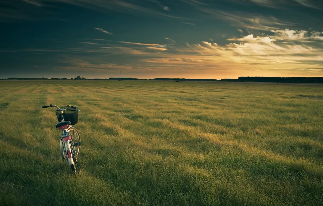 Фото обои поле, небо, трава, облака, пейзаж, закат, природа, велосипед