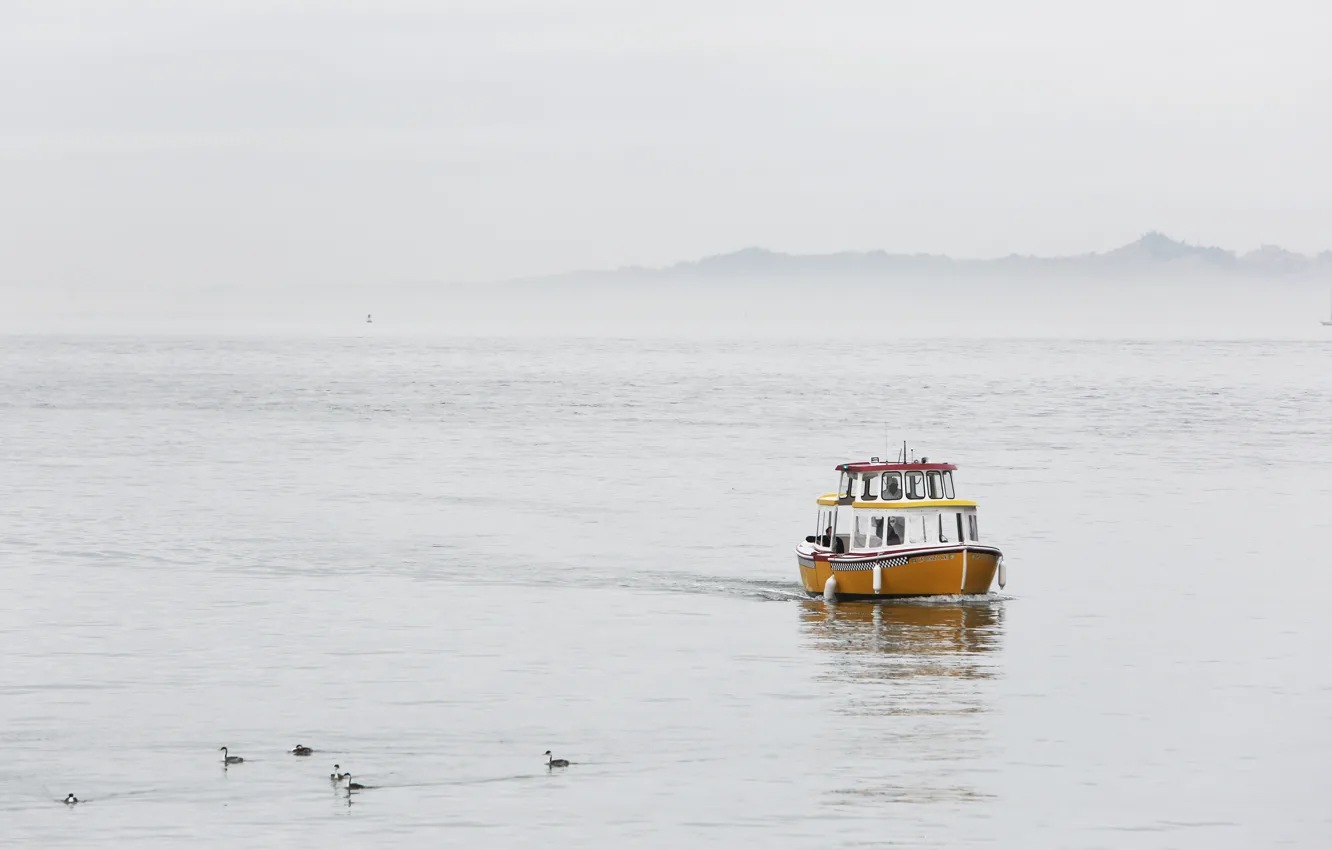 Фото обои море, туман, утро, лодка-такси