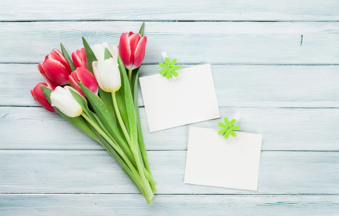 Фото обои цветы, букет, тюльпаны, red, white, wood, flowers, tulips