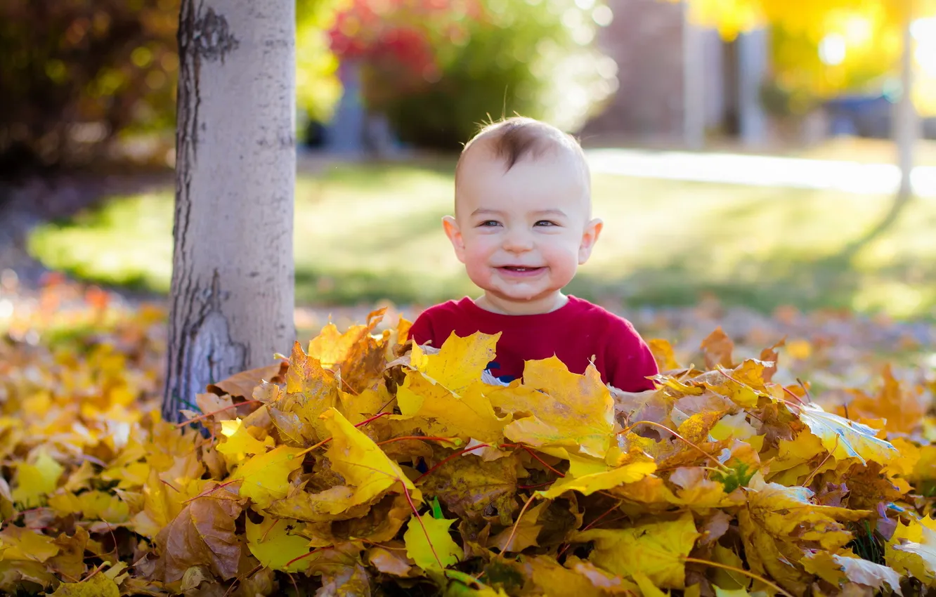Фото обои осень, листья, настроение, малчик