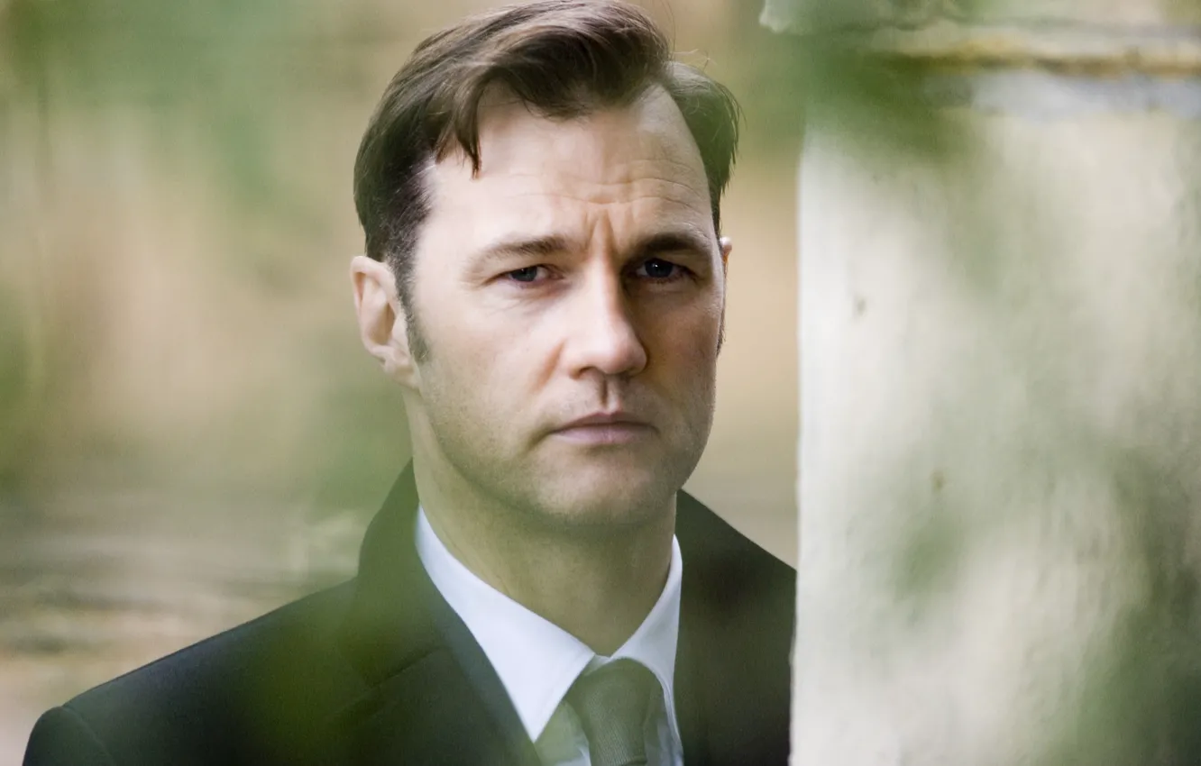 Фото обои лицо, актёр, David Morrissey, Дэвид Моррисси