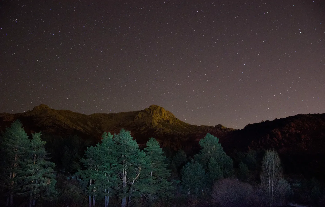Фото обои звезды, деревья, горы, ночь