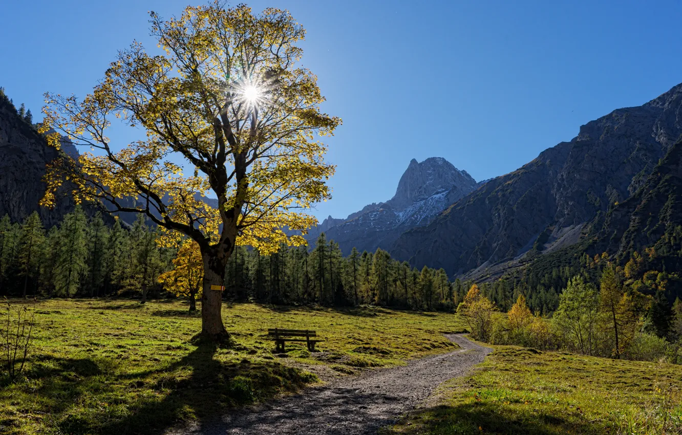 Фото обои осень, деревья, горы, скамейка, дерево, Австрия, долина, Альпы