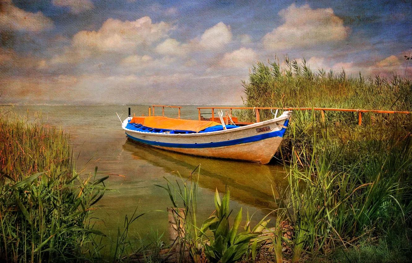 Фото обои вода, природа, лодка, растение, Испания, холст, Валенсия, Albufera Natural Park