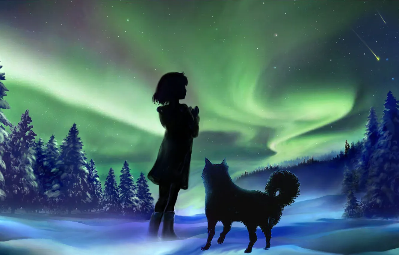 Фото обои зима, небо, девушка, снег, ночь, природа, собака, северное сияние