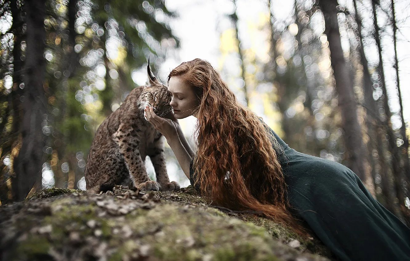 Фото обои ЛЕС, ВОЛОСЫ, РЫЖАЯ, ОБЪЯТИЯ, РЫСЬ, фотограф Alexandra Bochkareva