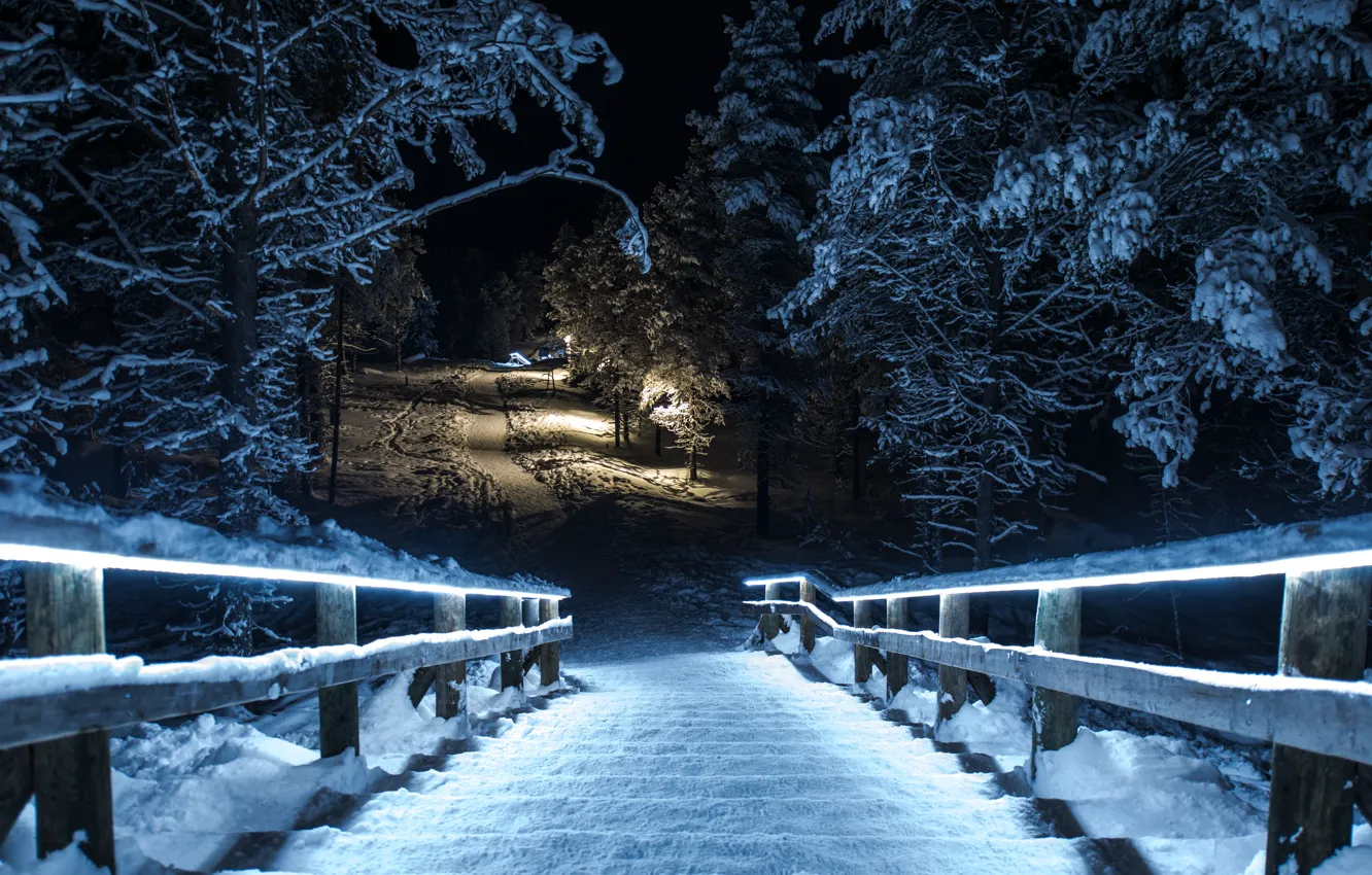 Фото обои зима, снег, ночь, мост, парк