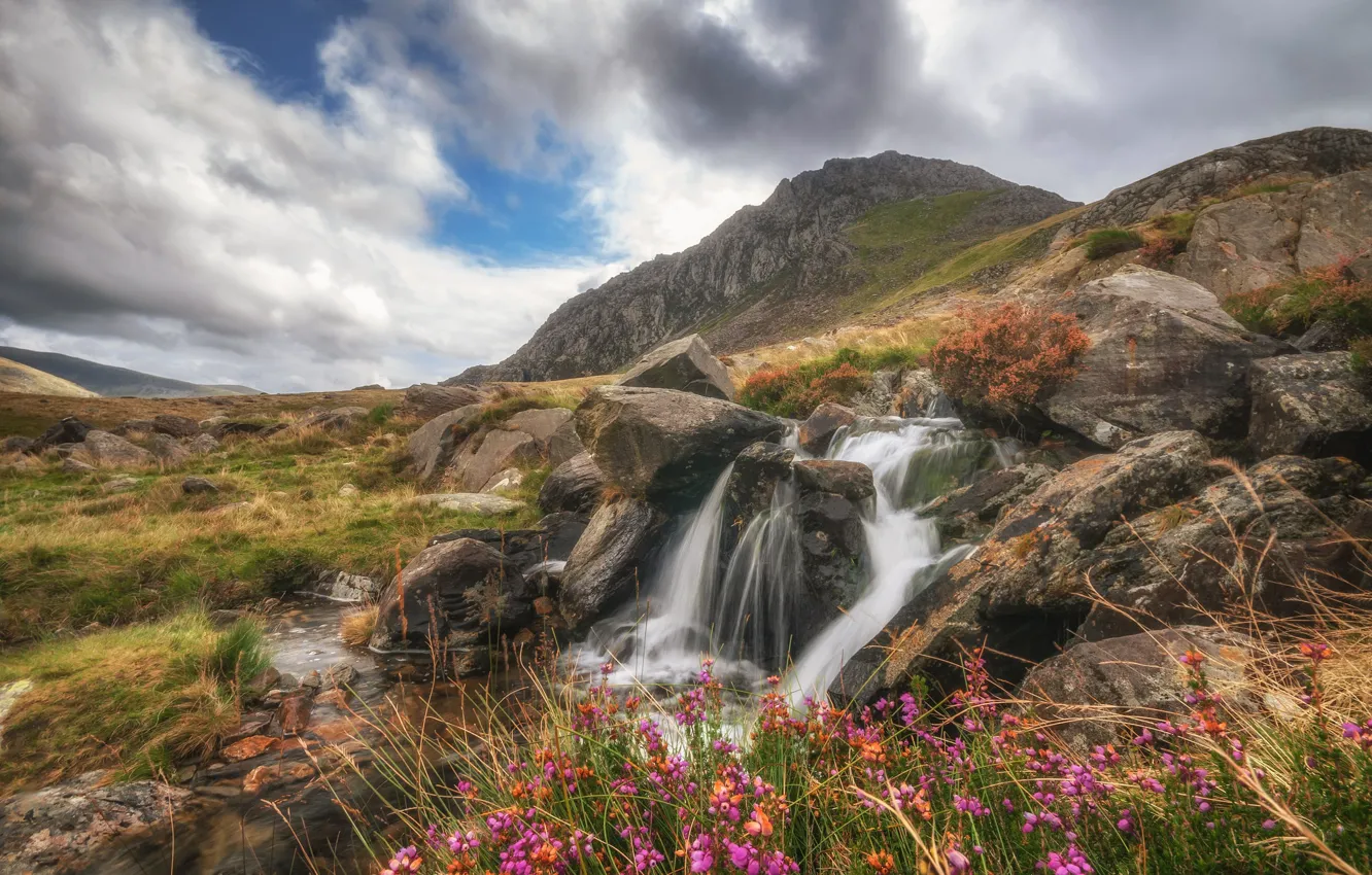 Фото обои пейзаж, цветы, горы, ручей, камни, скалы, Уэльс