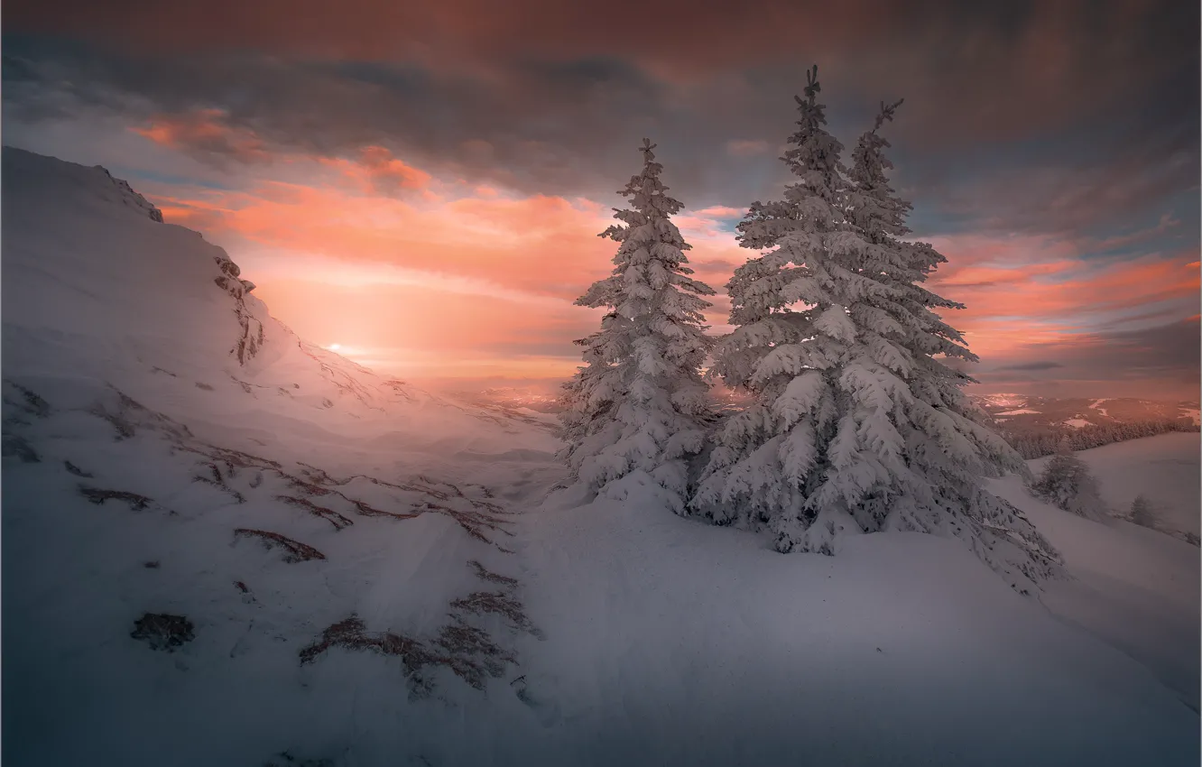 Фото обои зима, небо, облака, снег, закат, горы, ели, сугробы