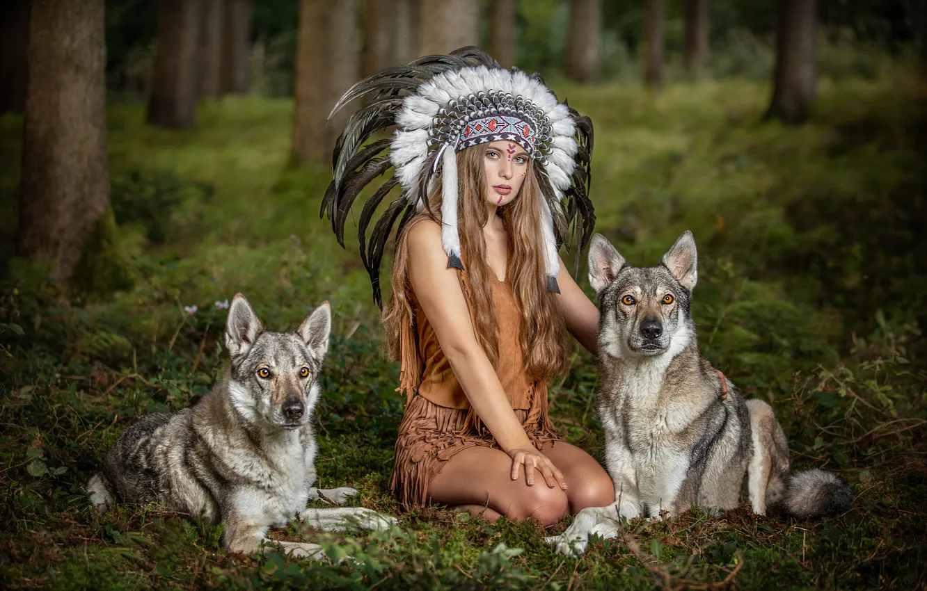 Фото обои лес, собаки, девушка, поза, перья, фэнтези, волки, головной убор