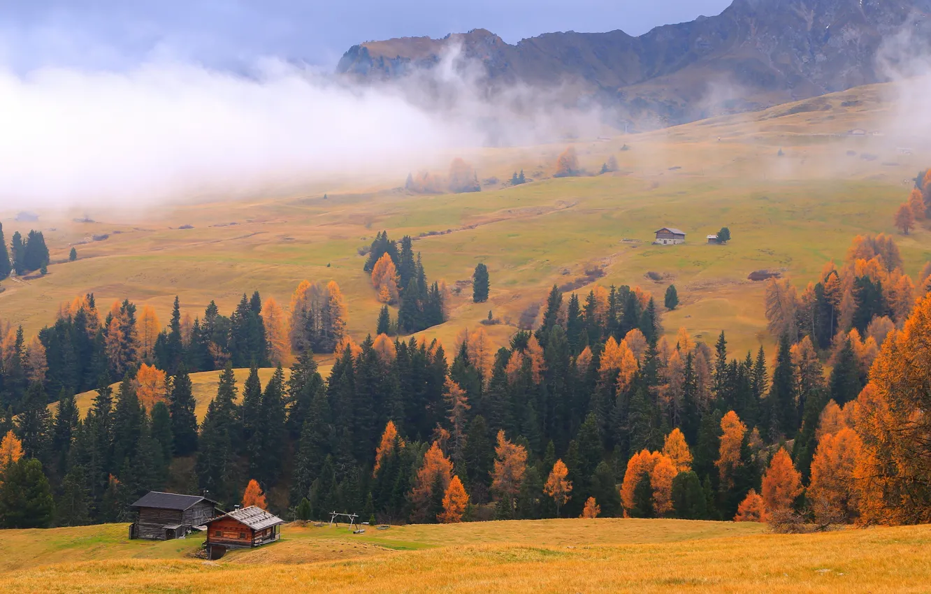 Фото обои осень, лес, пейзаж, горы, туман, Альпы, домики, луга