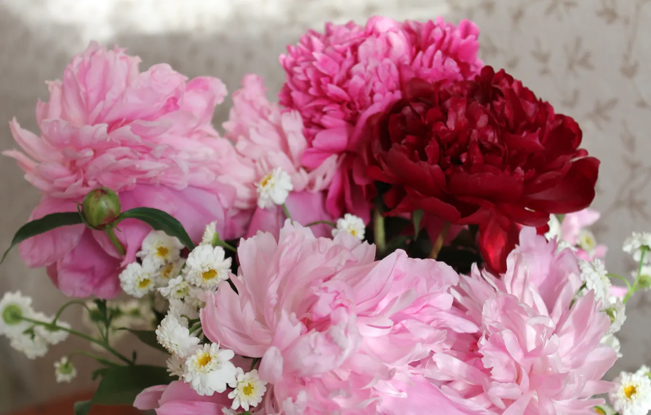 Фото обои цветы, букет, весна, розовые цветы, пионы