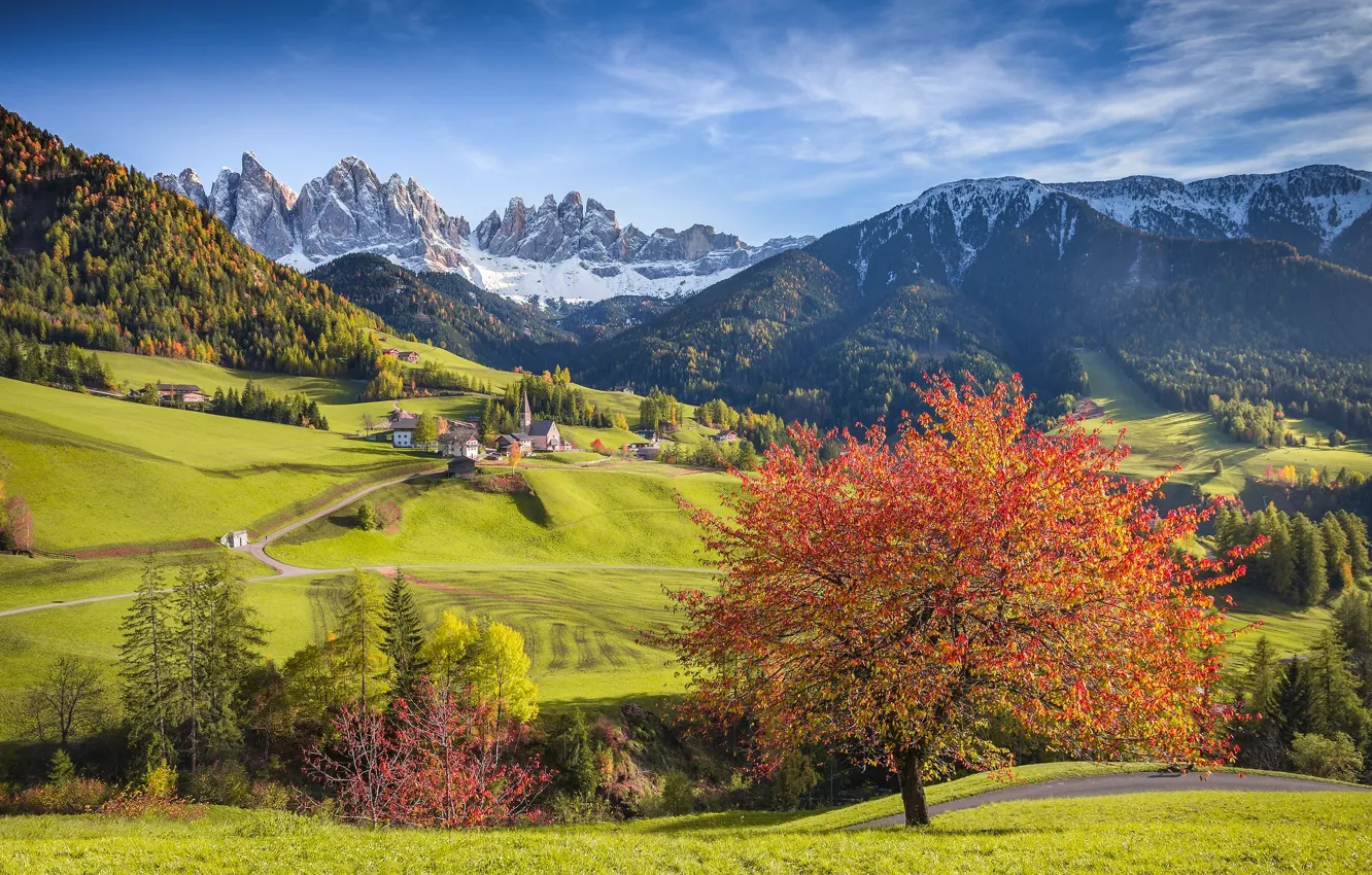 Фото обои осень, горы, дерево, деревня, Альпы, Италия, церковь, леса