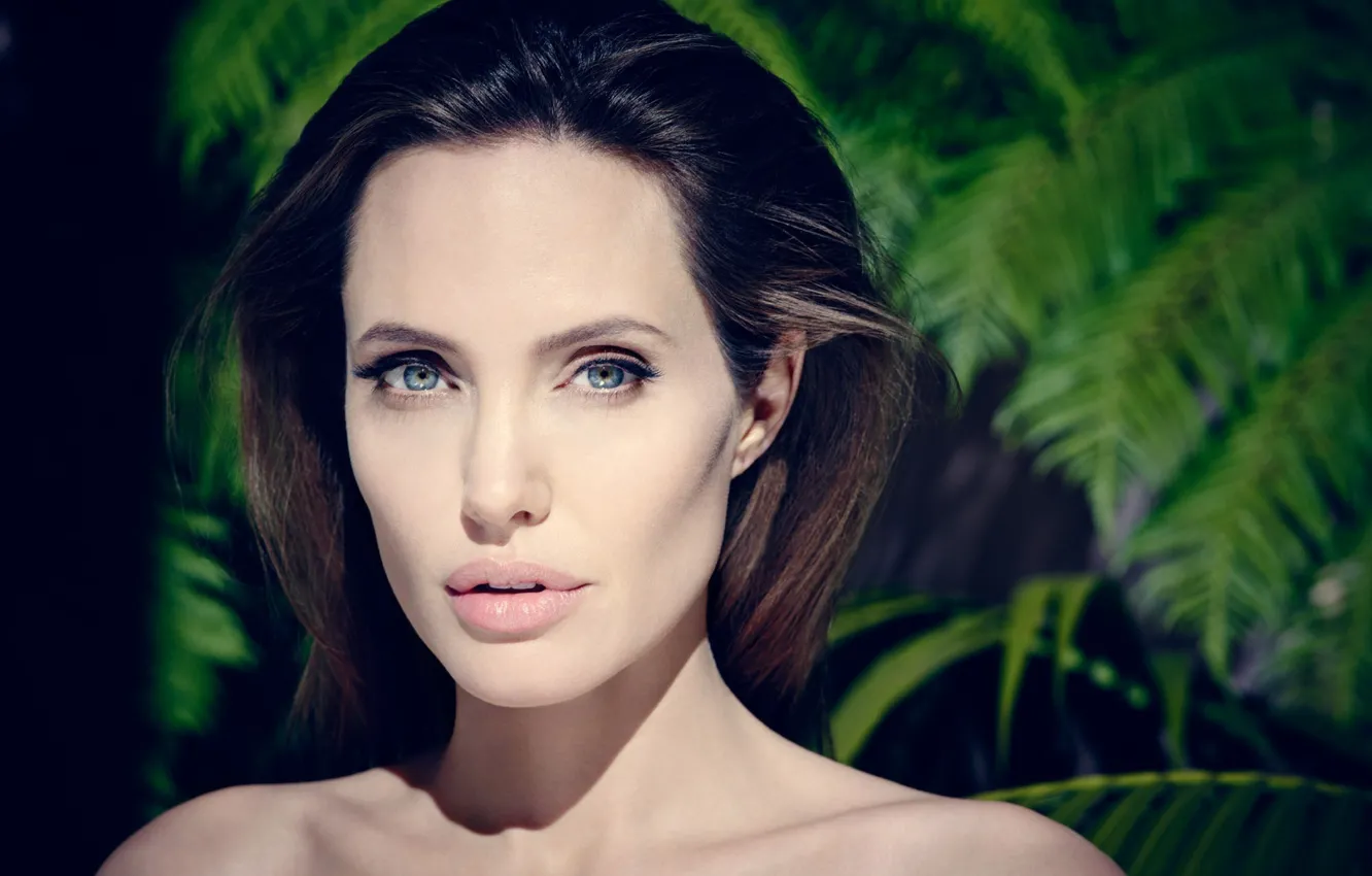 Фото обои портрет, Angelina Jolie, знаменитость