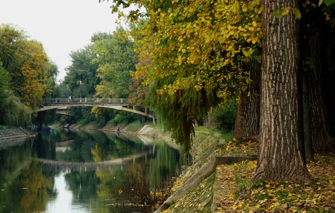 Фото обои Мост, Осень, Парк, Fall, Листва, Bridge, Park, Autumn