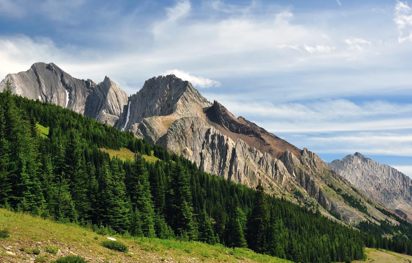 Фото обои небо, деревья, горы, Alberta, Canada, Kananaskis