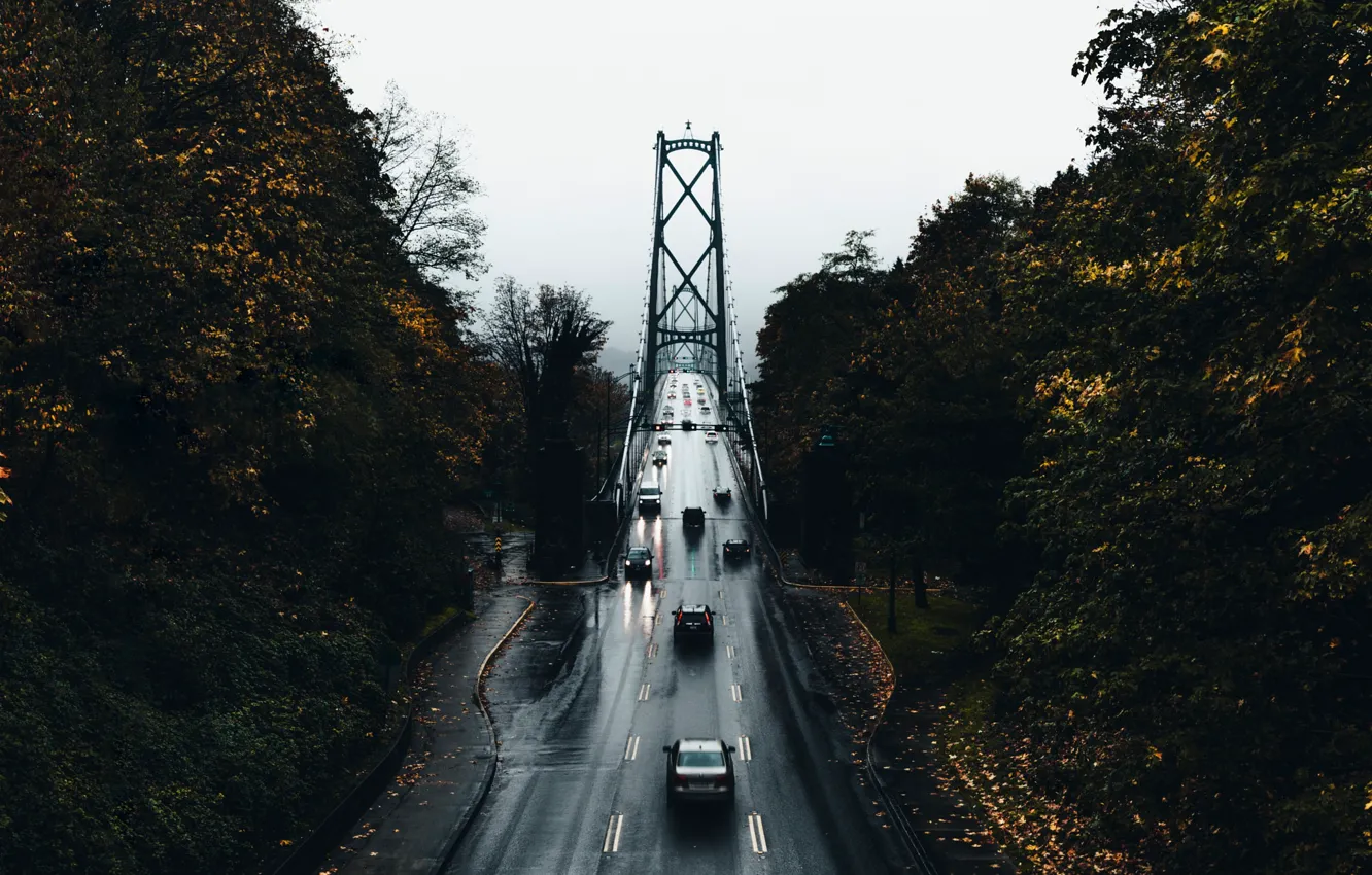 Фото обои дорога, осень, деревья, машины, мост, город, мокрая