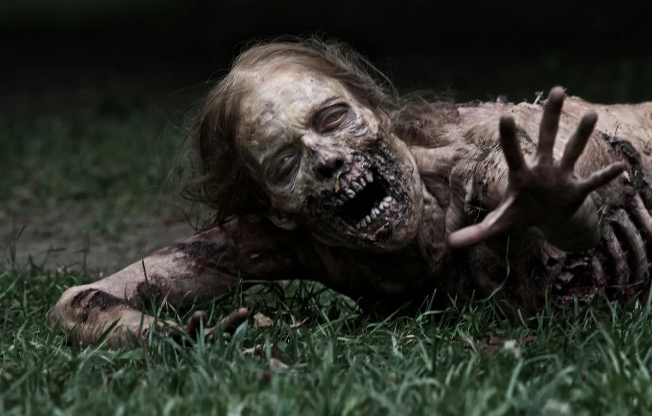 Фото обои трава, зомби, zombie, сериал, serial, The Walking Dead, Ходячие мертвецы