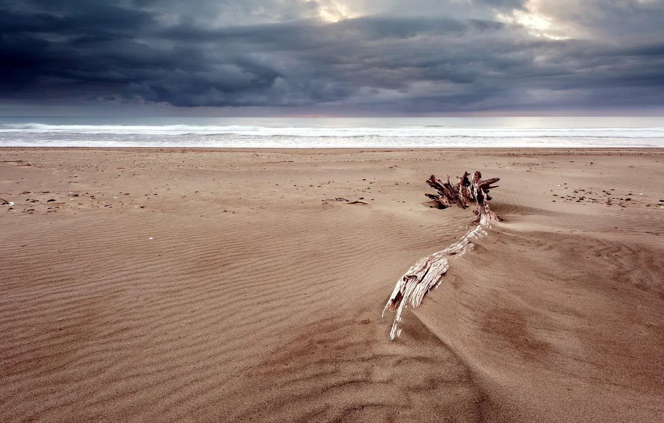 Фото обои море, пляж, пейзаж, ночь, природа, бревно