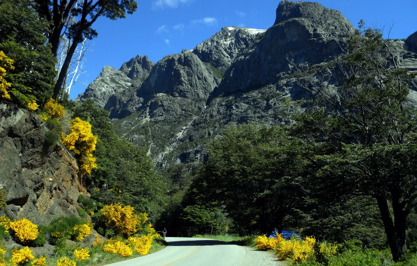 Фото обои дорога, деревья, пейзаж, цветы, горы, природа, кусты, Patagonia