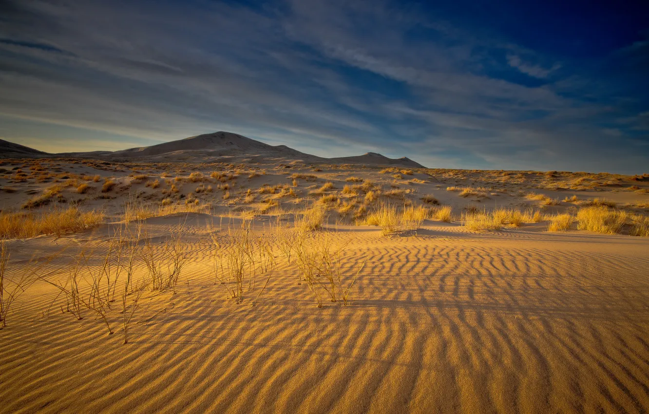 Фото обои песок, небо, природа, холмы, пустыня, кусты