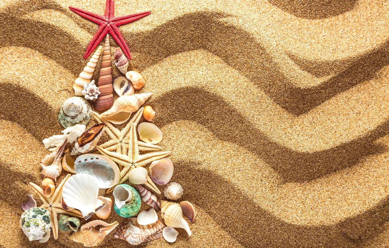 Фото обои песок, украшения, елка, Новый Год, ракушки, Christmas, beach, tree