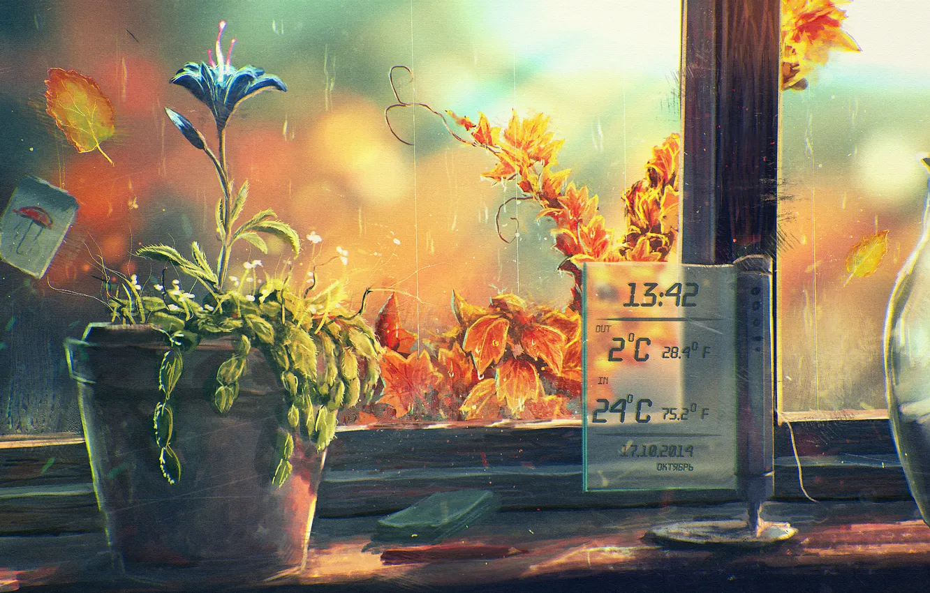 Фото обои цветок, окно, арт, горшок, подоконник, градусник