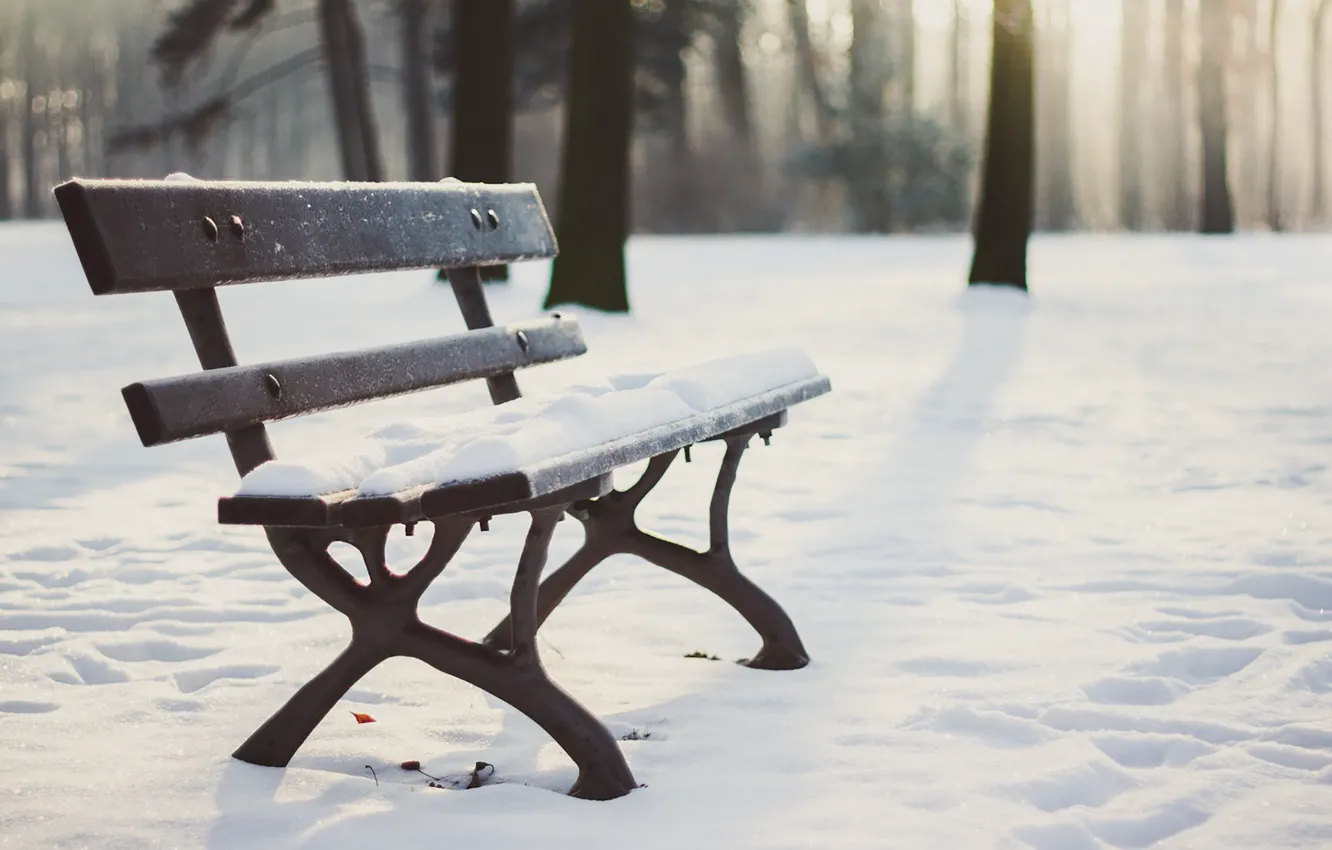 Фото обои wood, winter, snow, seat, bench, shadows, sunlight, wooland