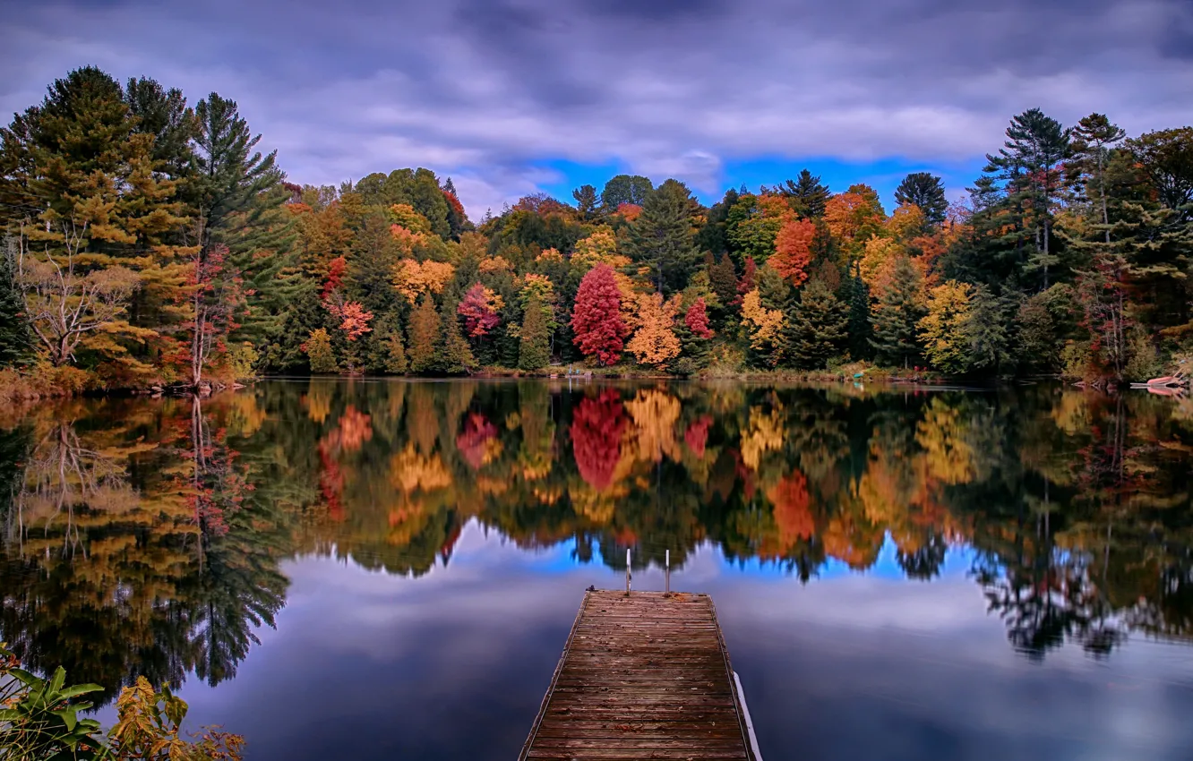 Фото обои осень, озеро, парк