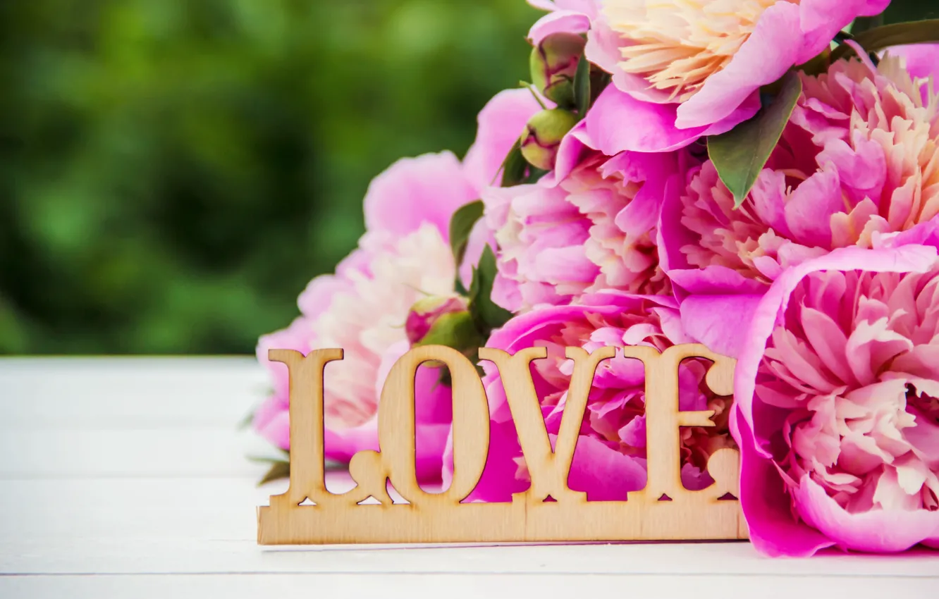 Фото обои цветы, love, розовые, wood, pink, flowers, beautiful, romantic