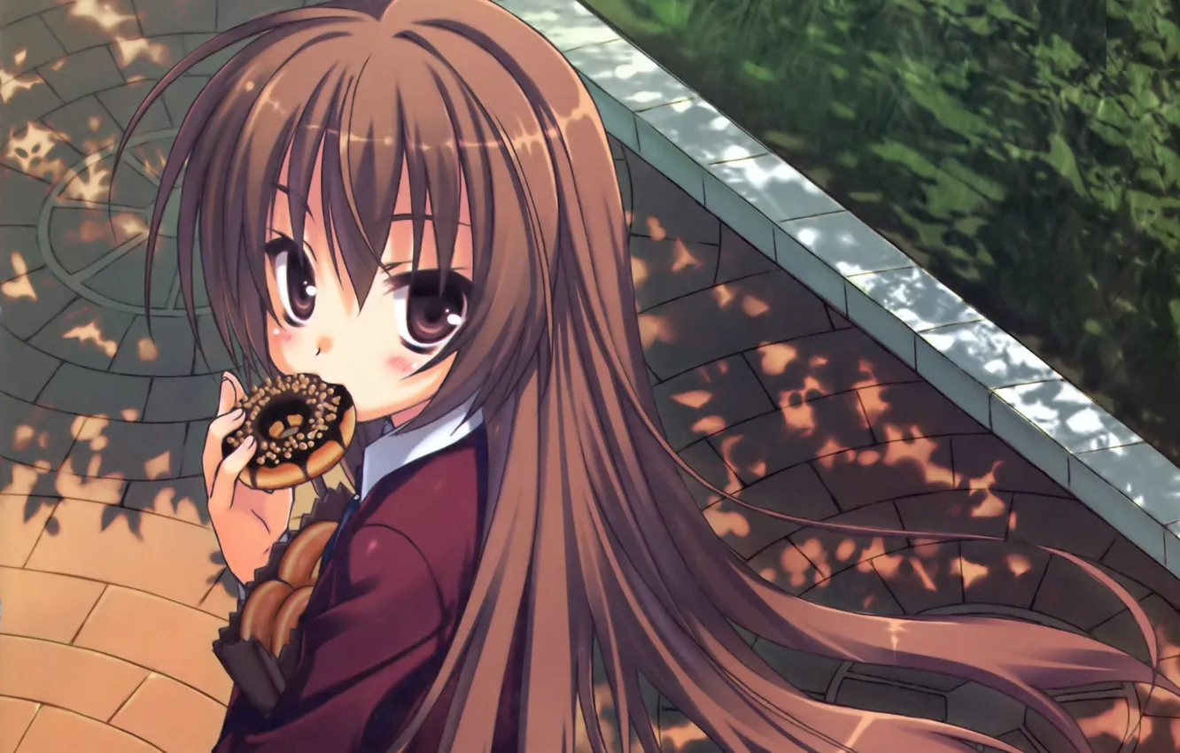 Фото обои брусчатка, пакет, школьница, пончик, длинные волосы, Aisaka Taiga, Toradora!, большие глаза