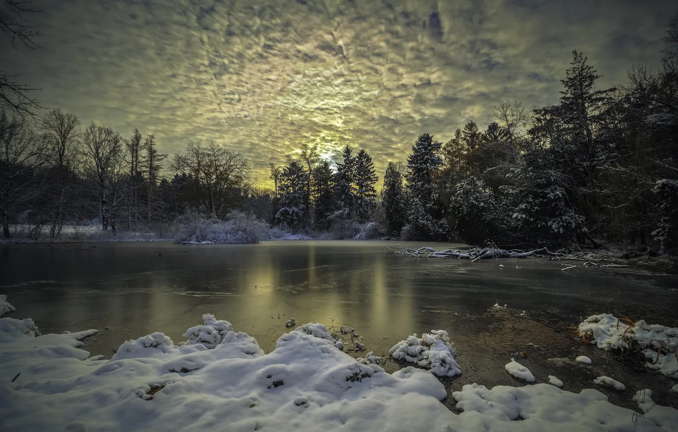 Фото обои зима, лес, озеро, вечер