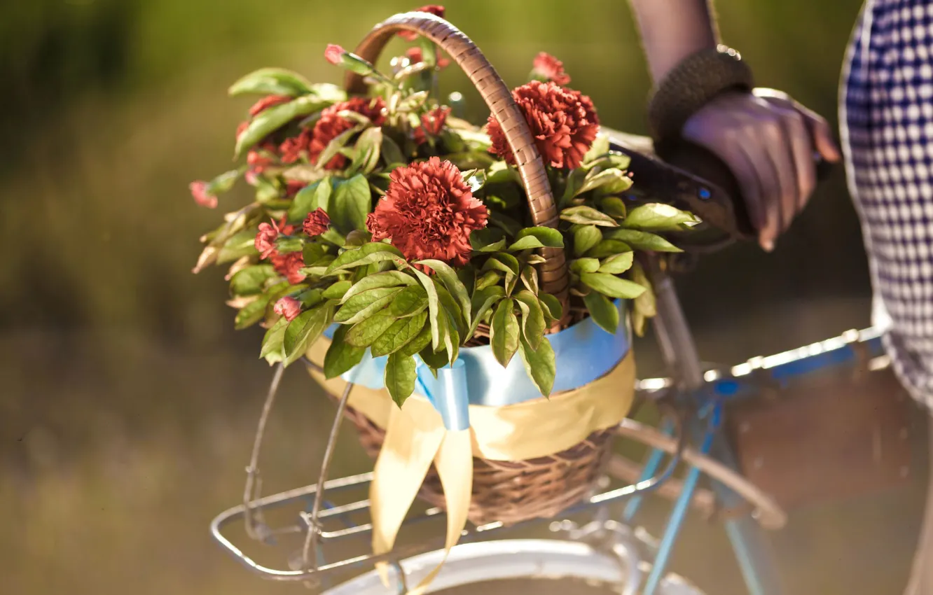 Фото обои листья, девушка, цветы, велосипед, фон, widescreen, обои, корзина