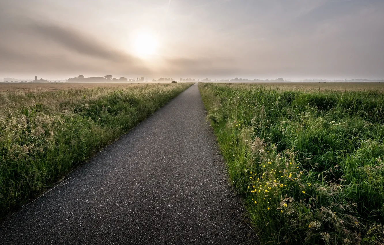 Фото обои дорога, поле, туман