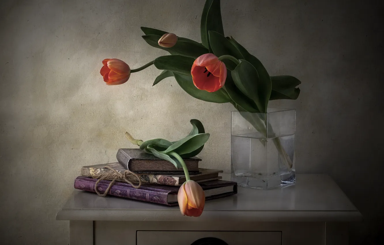 Фото обои цветы, стиль, книги, тюльпаны, натюрморт