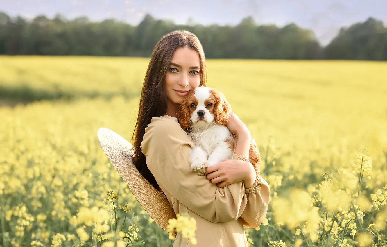 Фото обои поле, лето, взгляд, девушка, природа, поза, улыбка, собака