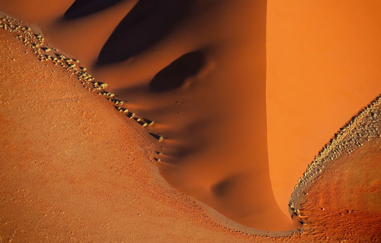 Фото обои wide, sand, orange, bush, Desert, umbra