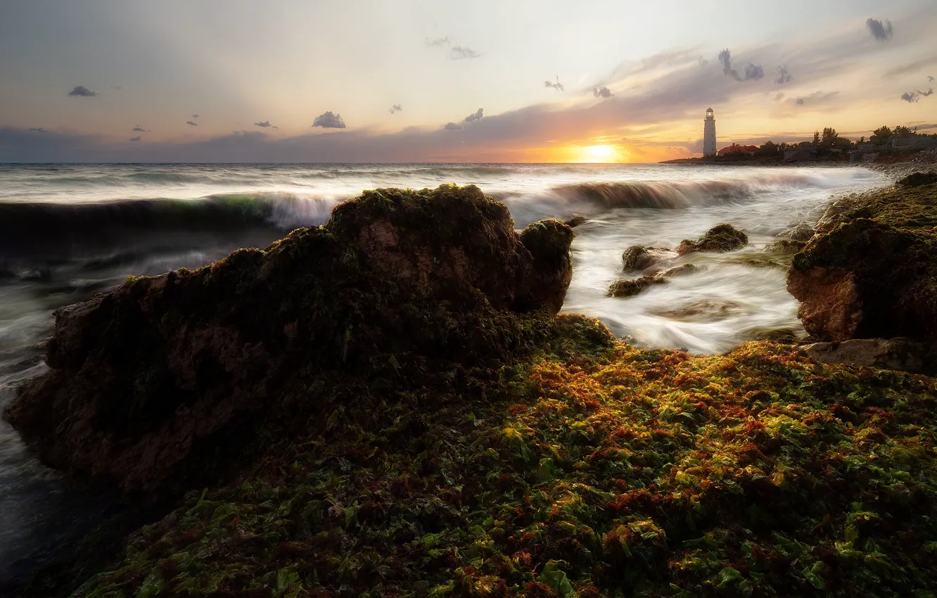 Фото обои море, волны, водоросли, пейзаж, закат, природа, камни, берег