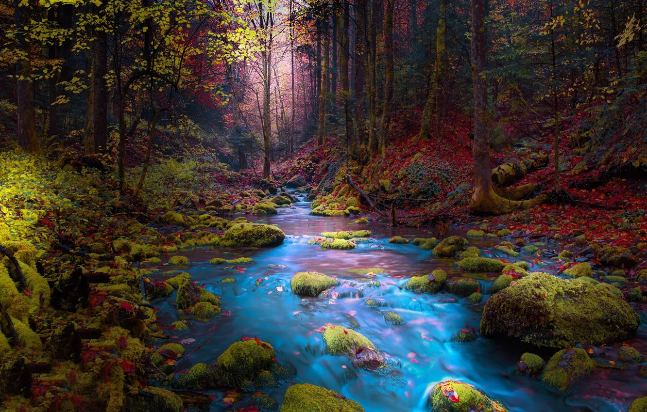 Фото обои осень, лес, деревья, пейзаж, горы, природа, река, ручей