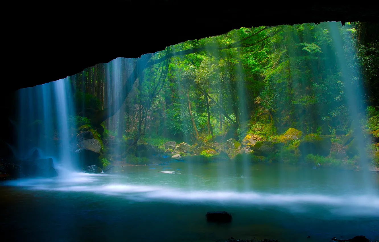 Фото обои лес, природа, скала, река, водопад