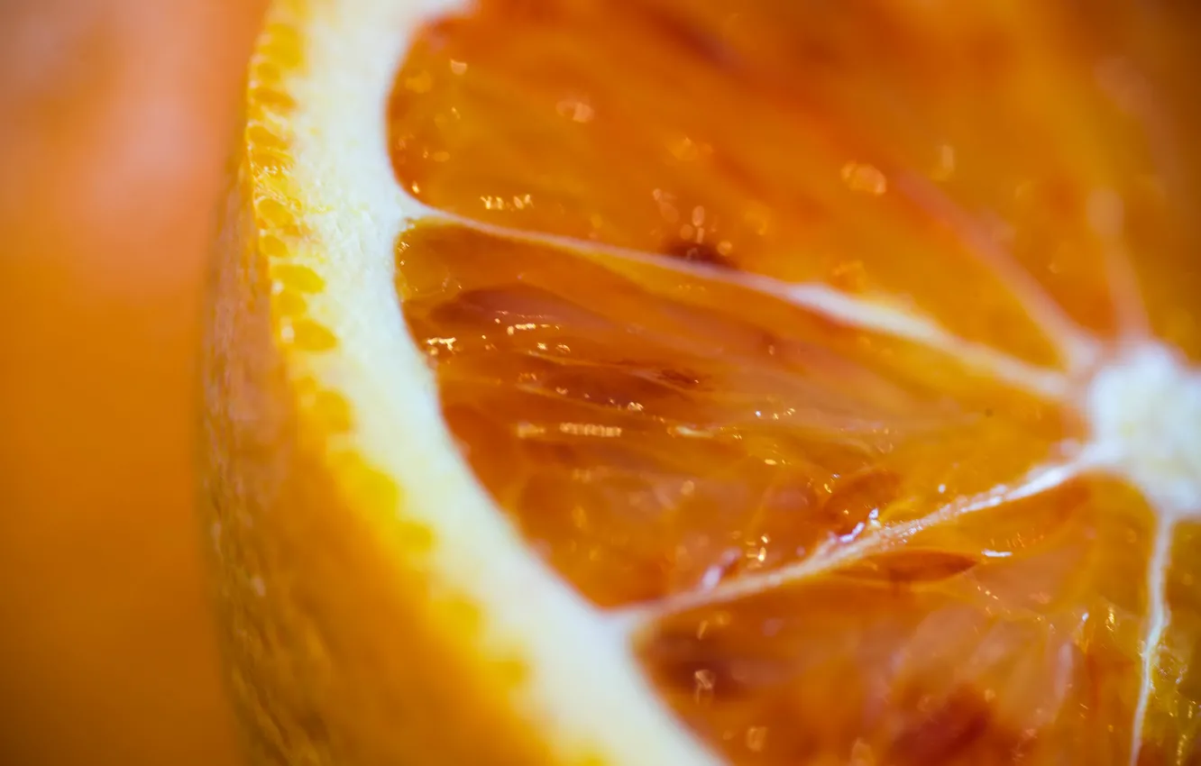 Фото обои макро, апельсин, фрукт