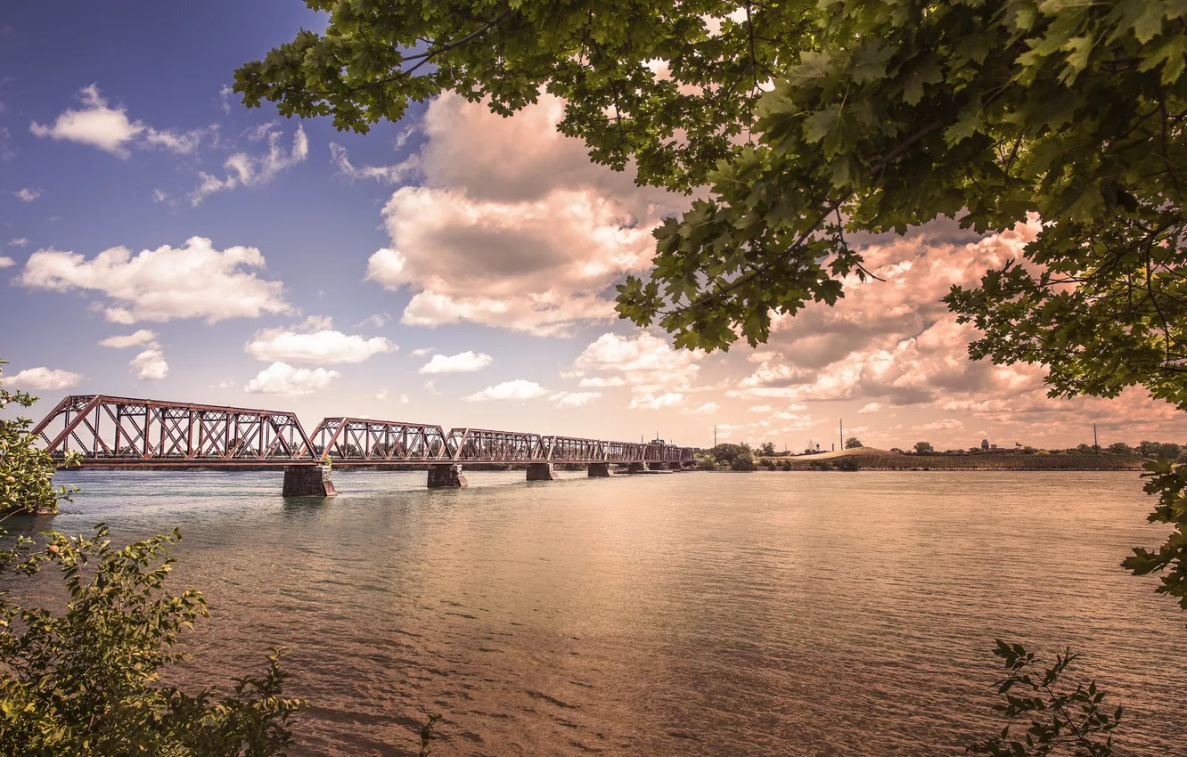 Фото обои мост, река, водоем, железнодорожный