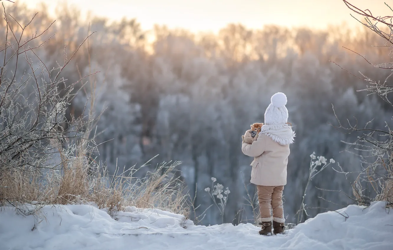 Фото обои зима, пейзаж, котенок, девочка
