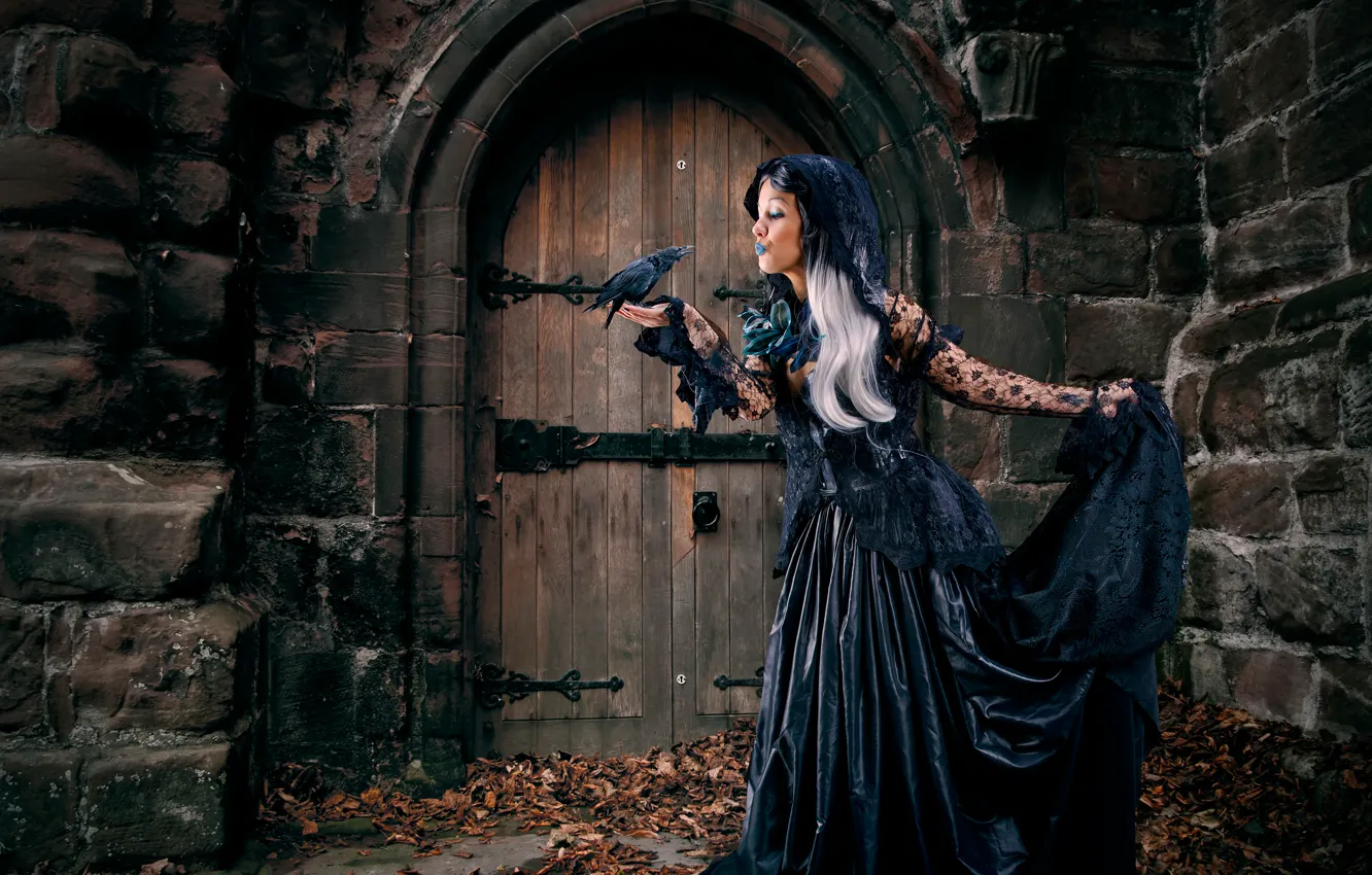 Фото обои листья, девушка, замок, готика, птица, платье, в чёрном