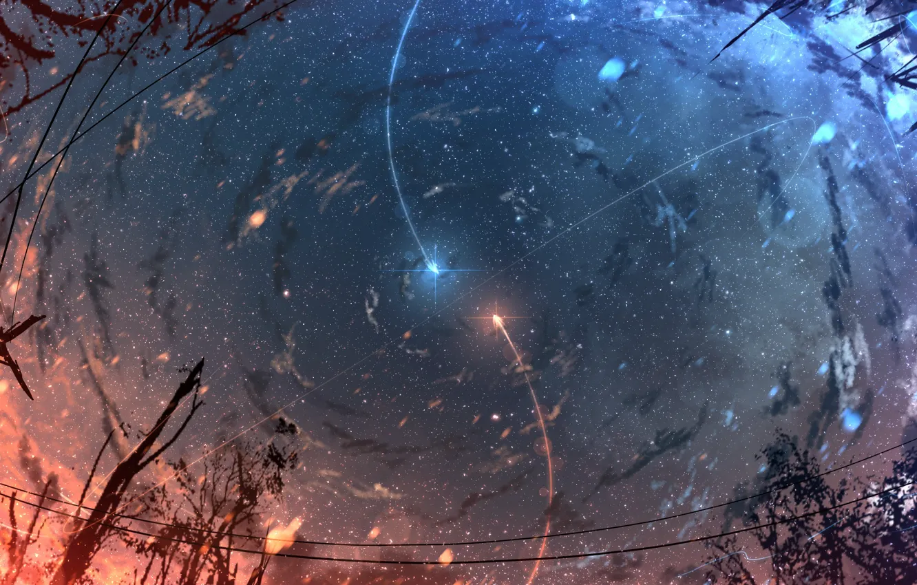 Фото обои небо, ночь, метеоры