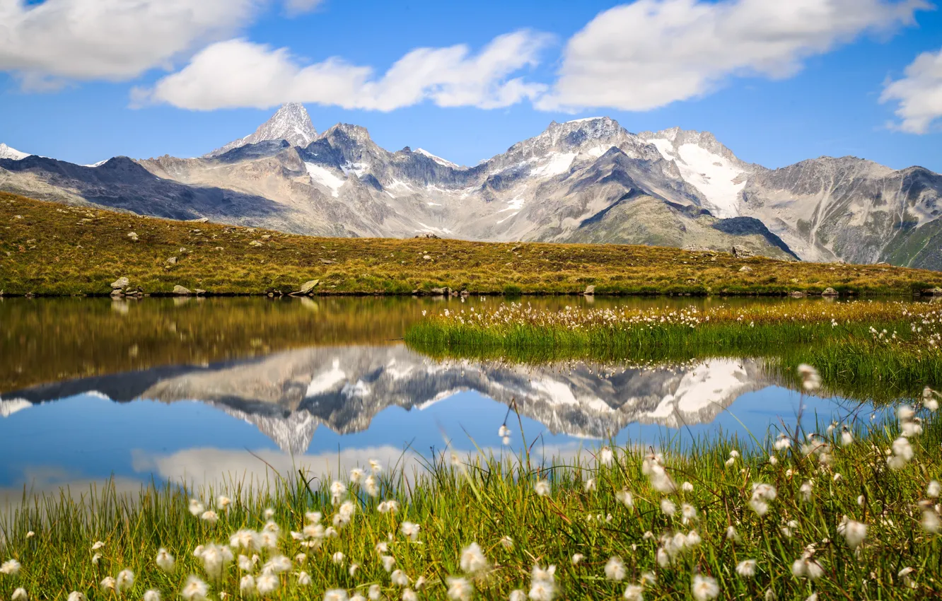 Фото обои горы, озеро, отражение, Швейцария, Альпы, пушица