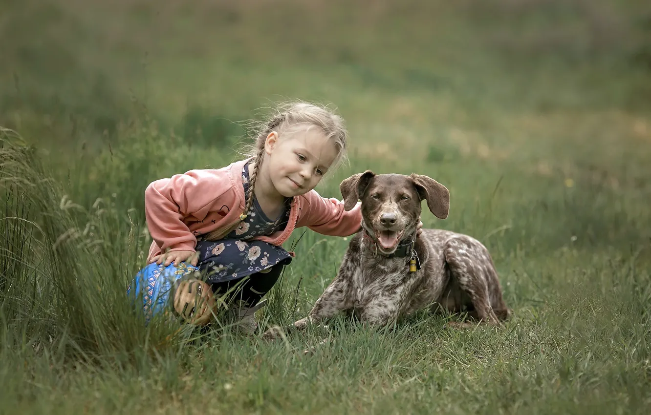 Фото обои лето, собака, девочка