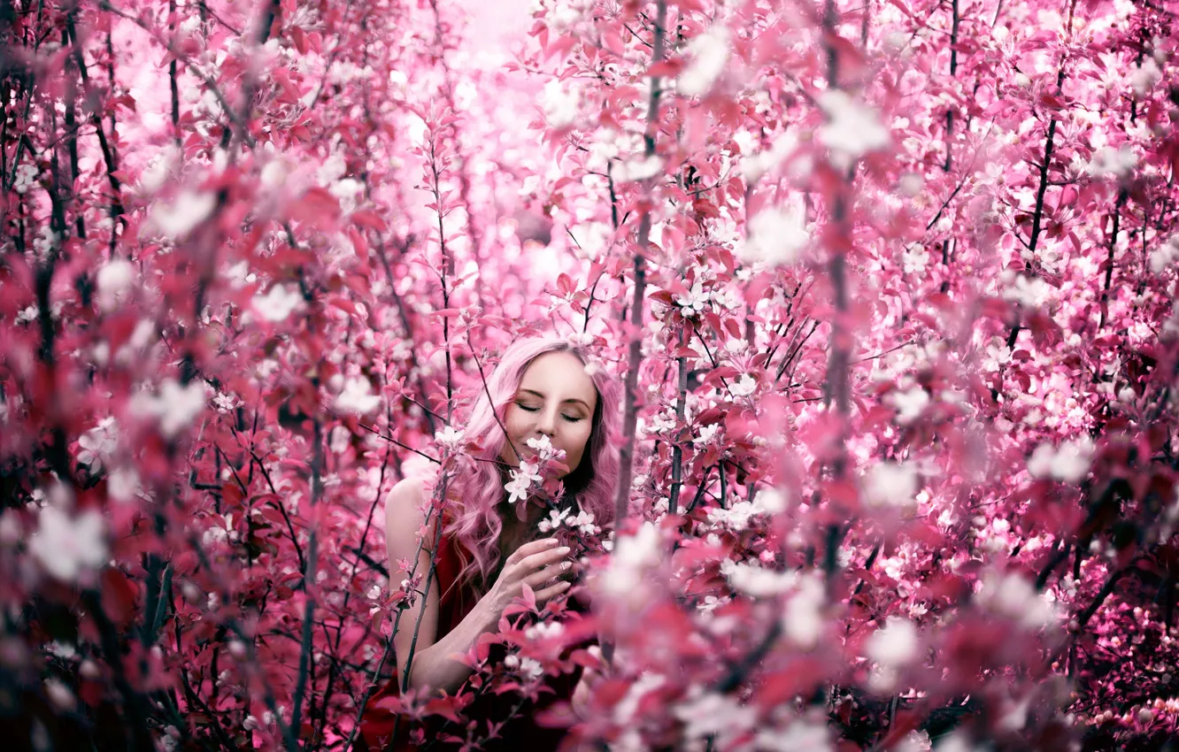 Фото обои девушка, ветки, весна, цветение